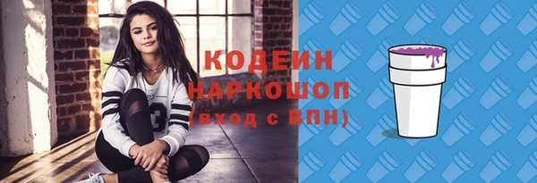 индика Медвежьегорск
