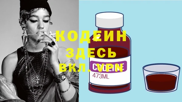 индика Медвежьегорск