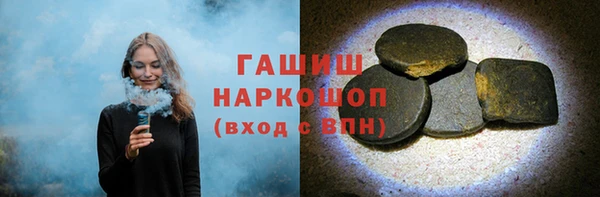 индика Медвежьегорск