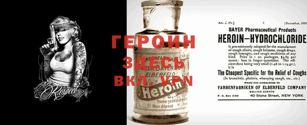 индика Медвежьегорск