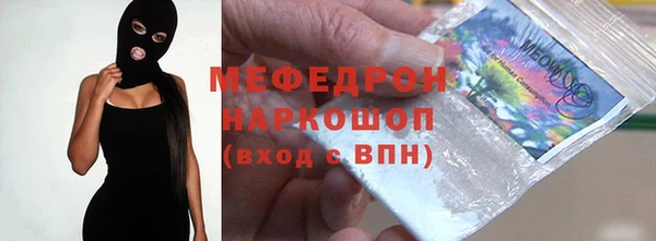 индика Медвежьегорск