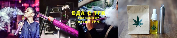 индика Медвежьегорск