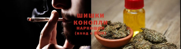 бутират Мегион
