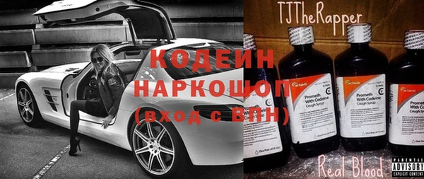 индика Медвежьегорск