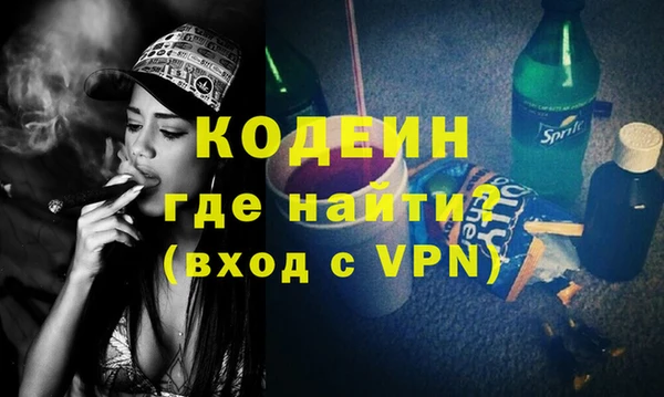 индика Медвежьегорск