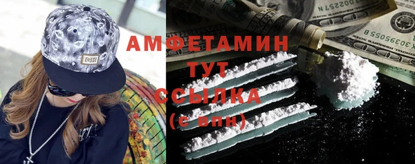 индика Медвежьегорск