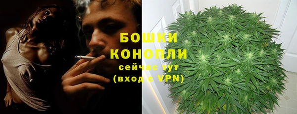 индика Медвежьегорск