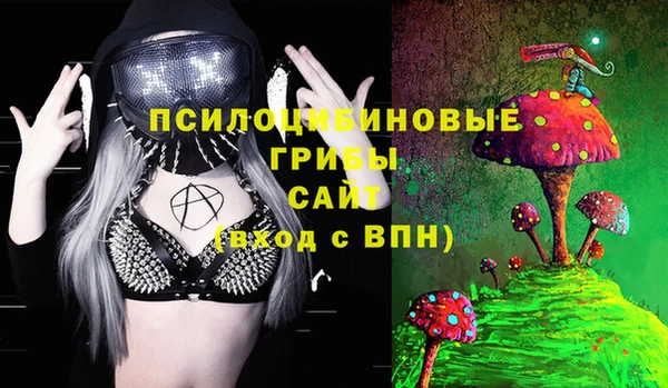амф Медногорск