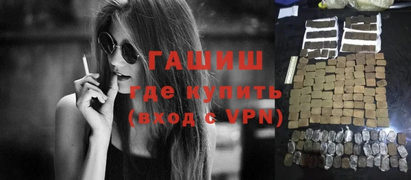 индика Медвежьегорск