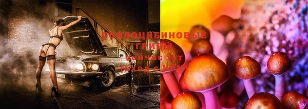 бутират Мегион